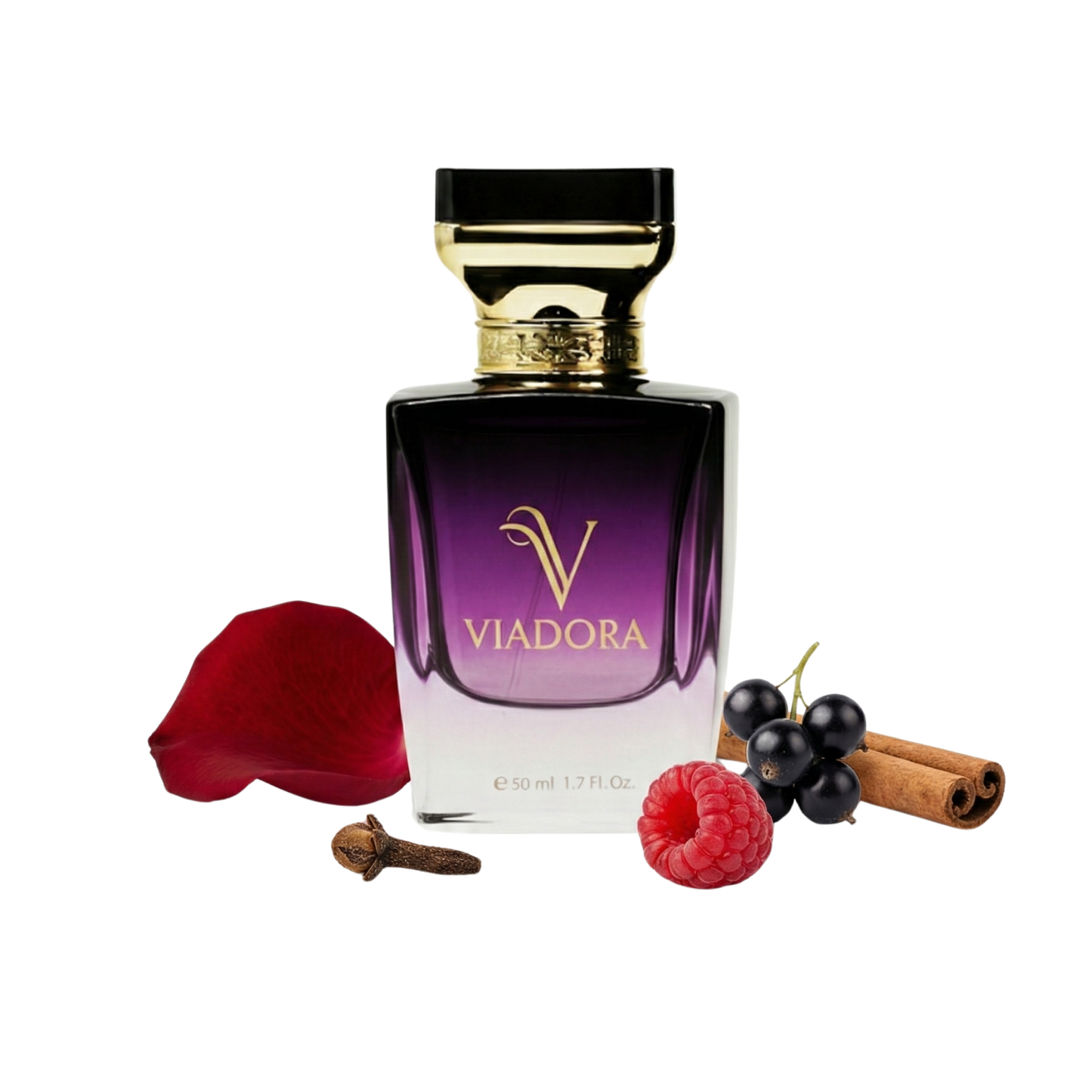 S111 Portrait of a Lady