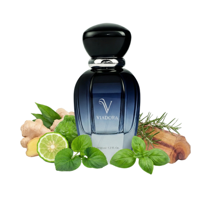 E208 L'Homme (Ysl)