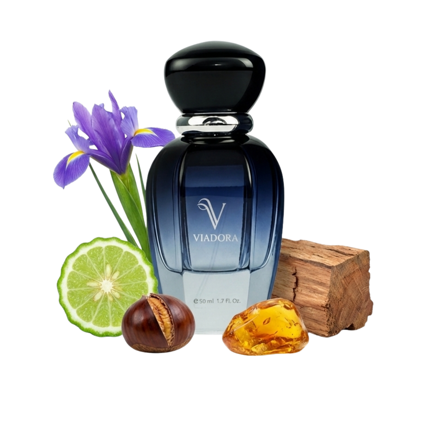 E216 Gentleman Réserve Privée