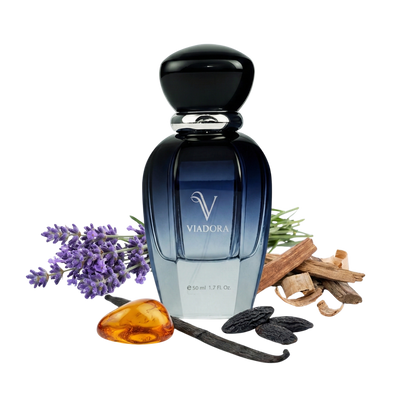 E240 Le Male Elixir