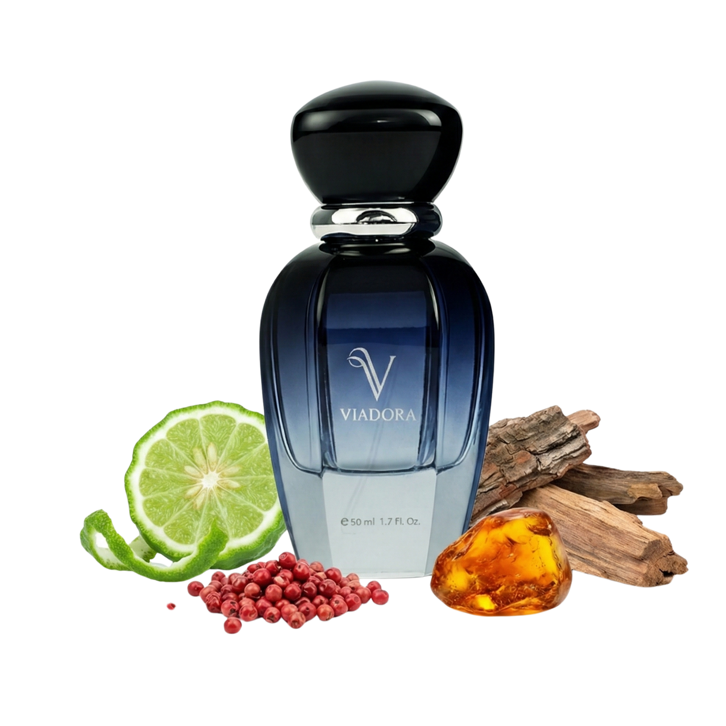 E710 Stronger With You  Absolute