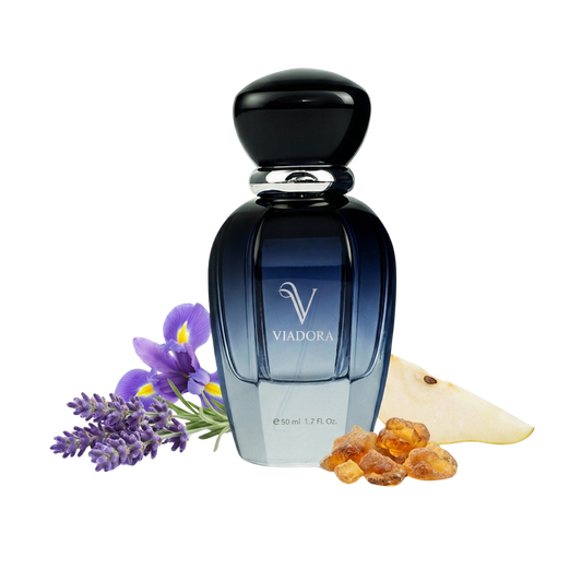 E765 Dior Homme Intense