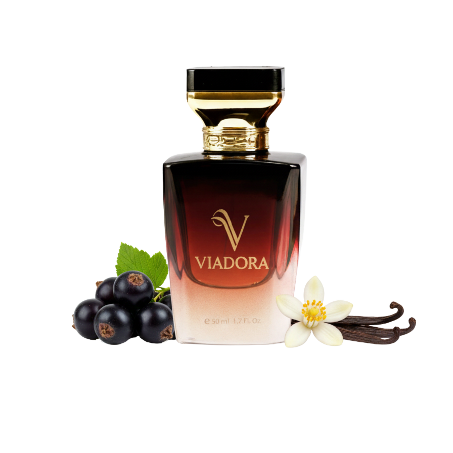 F202 La Vie Est Belle