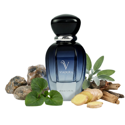 F258 Uomo Born In Roma Men