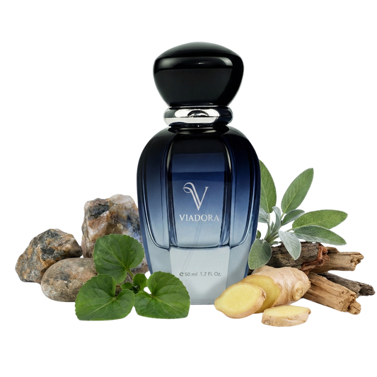 F258 Uomo Born In Roma Men