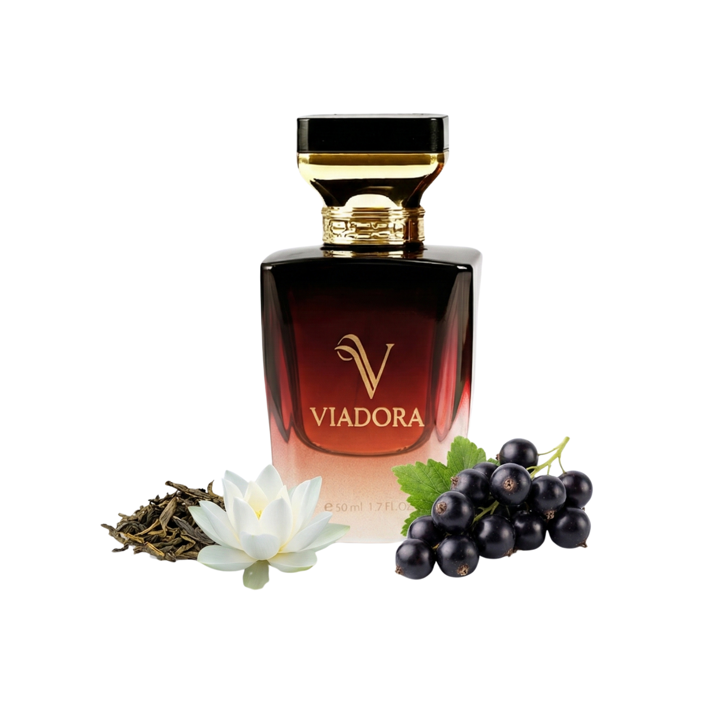 F328 Omnia Crystalline