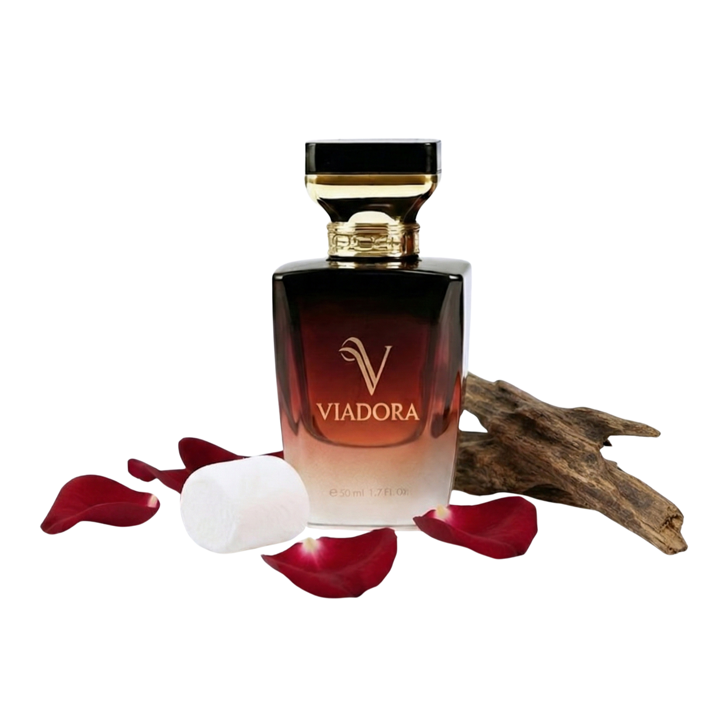 N102 Love Don't Be Shy