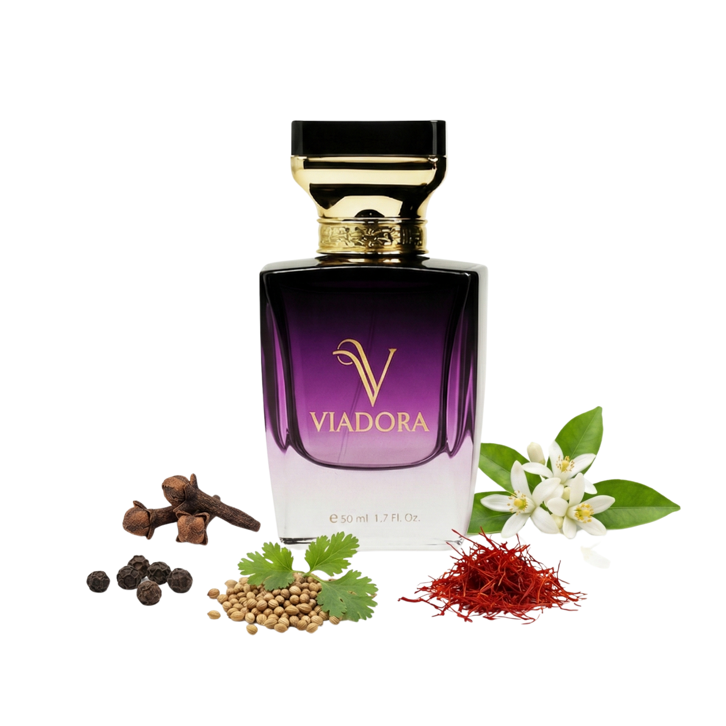 N220 Casamorati Lira 1888