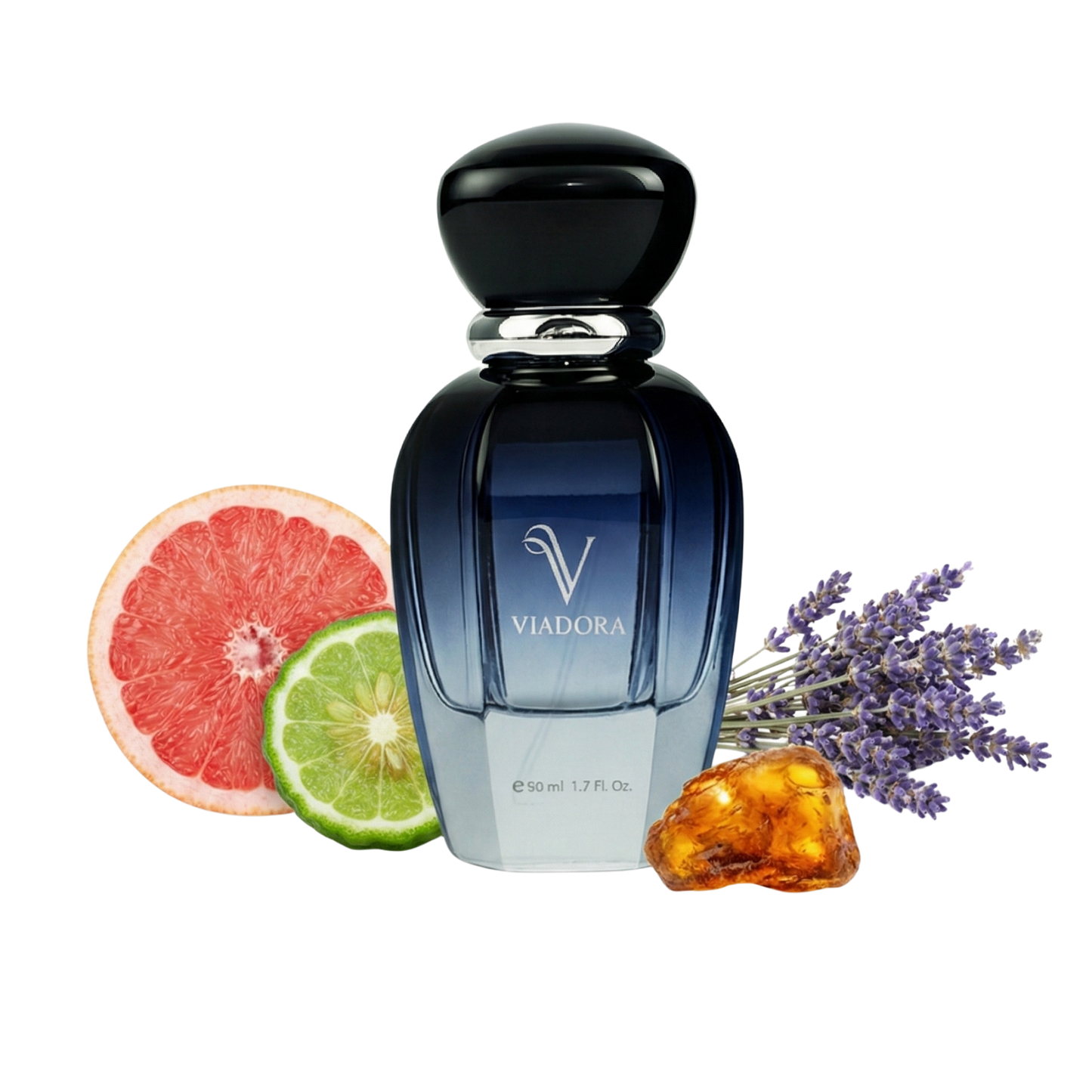 N308 Casamorati Mefisto 1888