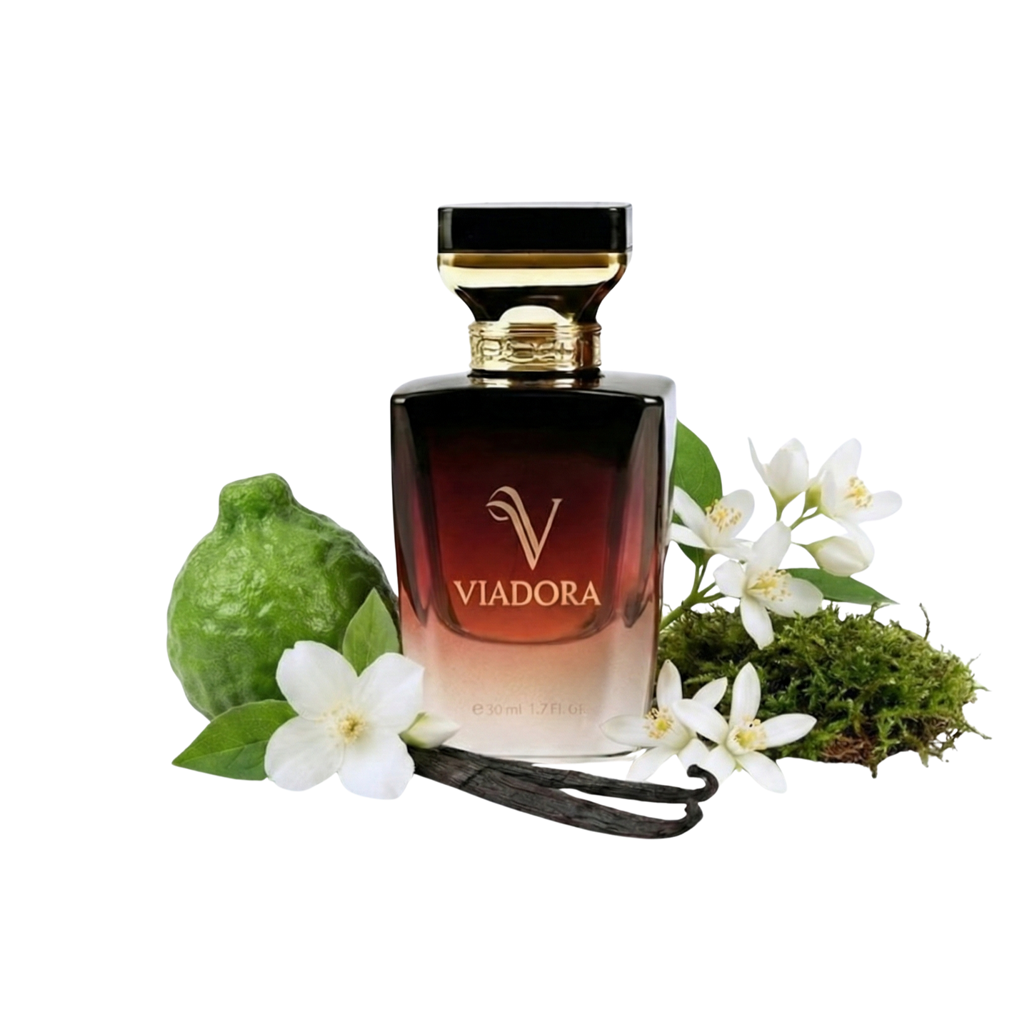 N328 Paradoxe Intense