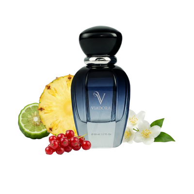 S777 Absolu Aventus